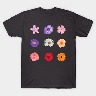 Group of Colourful Flower heads T-Shirt